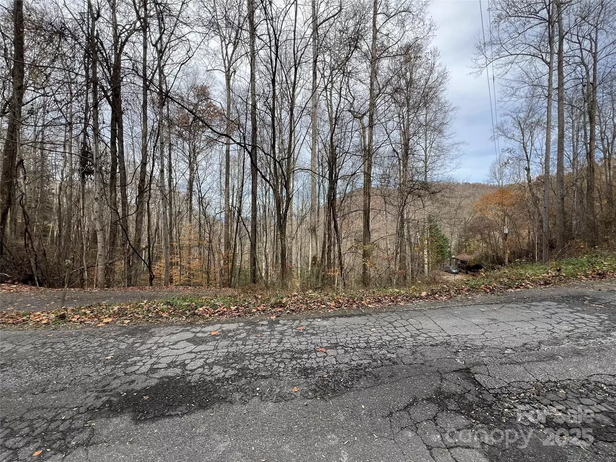 Bryson City, NC 28713,Lot 7 Deer Ridge RD