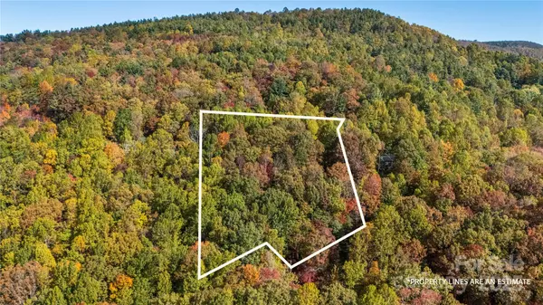 Deep Gap, NC 28618,Lot 24 Ben Miller RD #24
