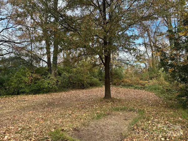 Charlotte, NC 28205,4033 Bearwood AVE