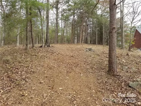 Badin Lake, NC 28127,176 Mallard DR