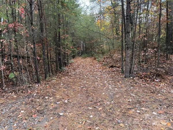 Purlear, NC 28665,TBD Wolf Pen RD #18