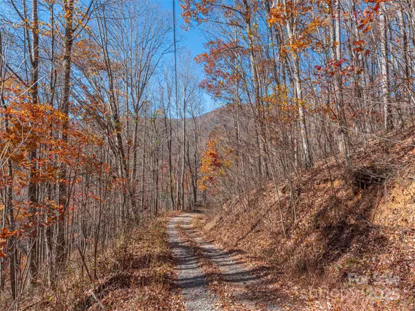 Clyde, NC 28721,112 & 113 Grouse RD