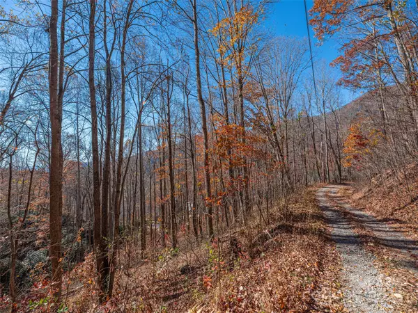 Clyde, NC 28721,112 & 113 Grouse RD