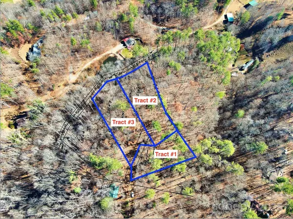 Burnsville, NC 28714,TBD Rockinghorse TRL #Tract #1