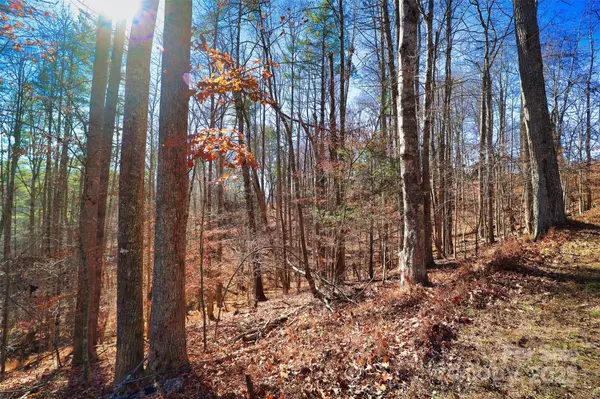 Burnsville, NC 28714,TBD Rockinghorse TRL #Tract #1