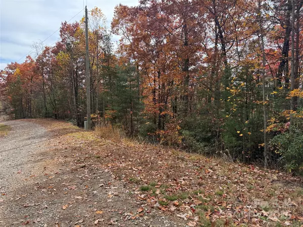 Purlear, NC 28665,TBD Casey Mountain RD #209