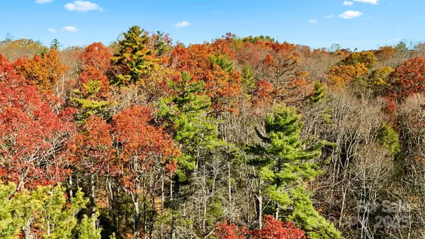 TBD Midway RD, Linville Falls, NC 28647