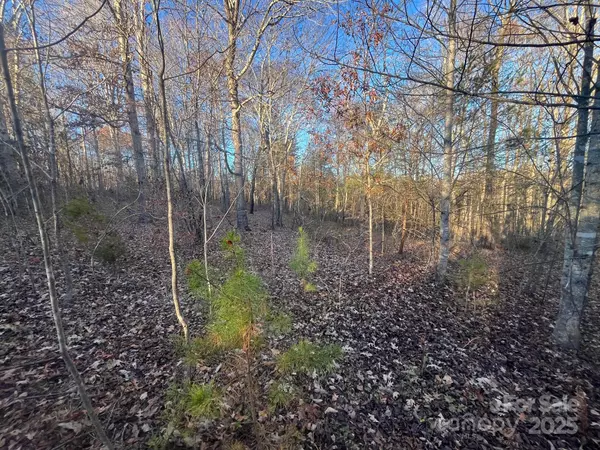 Nebo, NC 28761,V/L Pinnacle Church RD