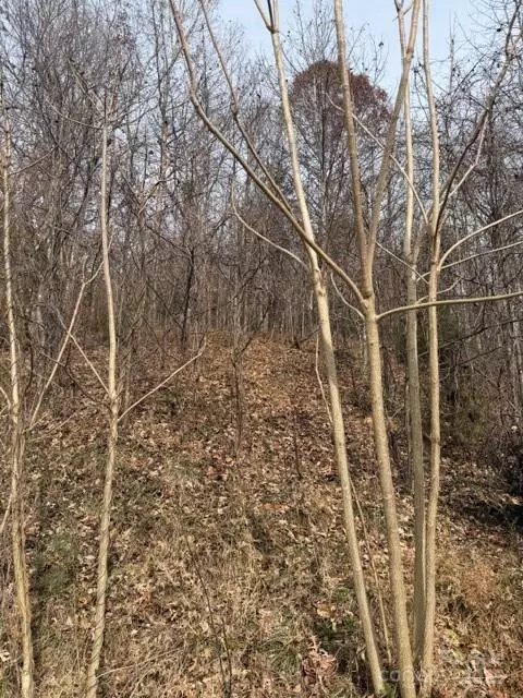 Marion, NC 28752,00 Yancey RD