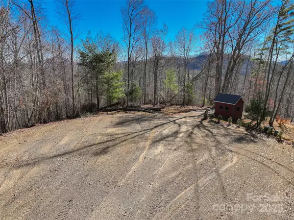 Green Mountain, NC 28740,00000 High Peak RDG #10