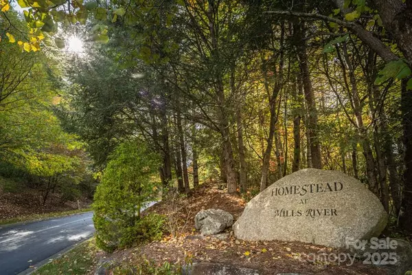 99999 Shining Rock PATH, Horse Shoe, NC 28742