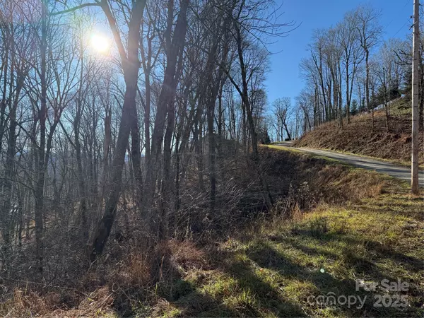 Mars Hill, NC 28754,000 Trillium LN #30