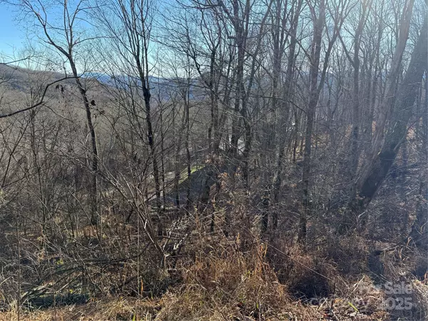 Mars Hill, NC 28754,000 Trillium LN #30