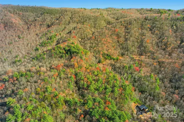 Rosman, NC 28712,Lot 75 Peppervine CIR