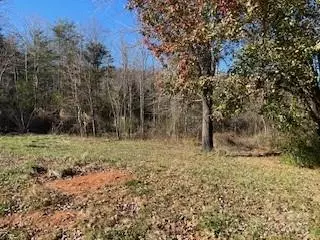 Marion, NC 28752,418 owl Hollow RD