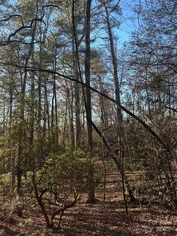 Marion, NC 28752,2830 Nix Creek RD