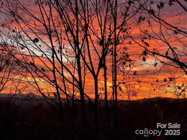 Hendersonville, NC 28739,180 High Road Overlook