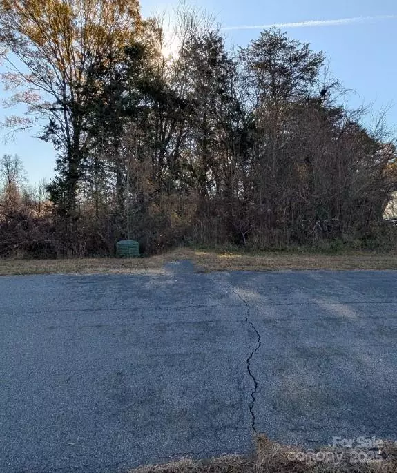 Lincolnton, NC 28092,0 Grassy Meadows CT #48