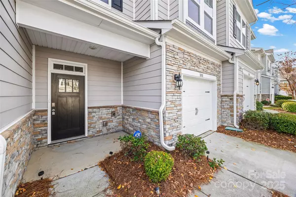 Clover, SC 29710,1018 Chicory TRCE