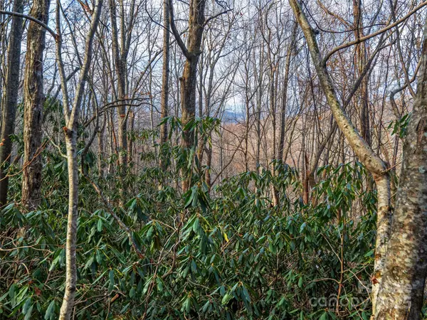 Hendersonville, NC 28739,000 Indian Cave Park RD