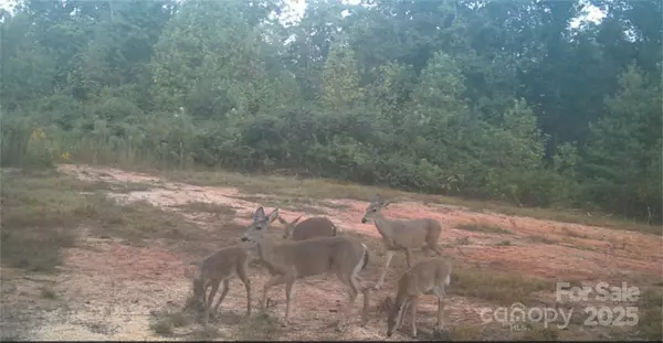 4204 Bennett RD, Morganton, NC 28655