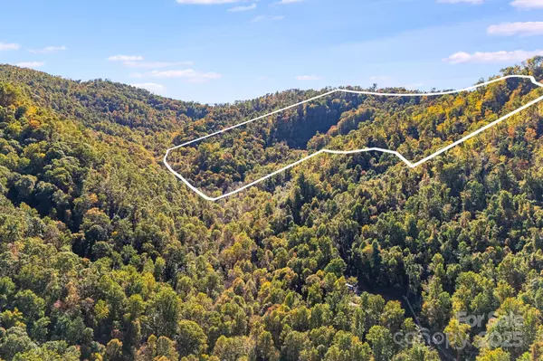 Mars Hill, NC 28754,3440 Hamburg RD