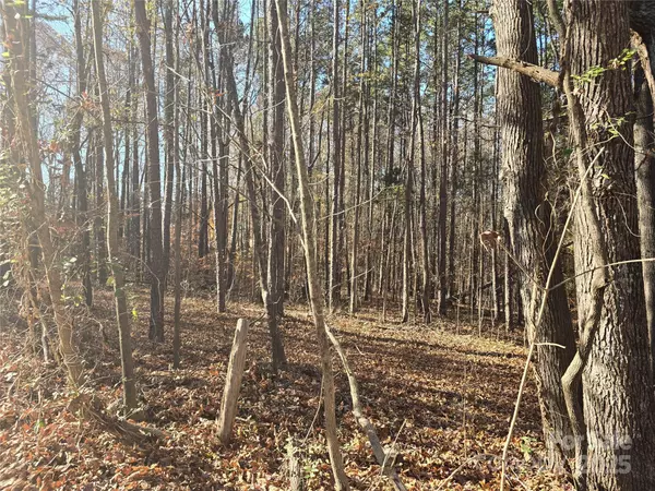 00 Shuffler woods RD, China Grove, NC 28023