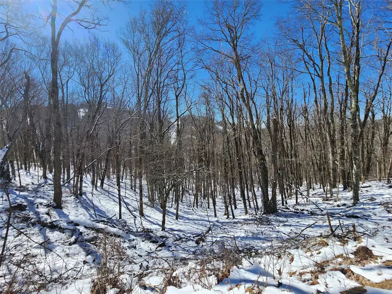 479 El Miner DR, Mars Hill, NC 28754