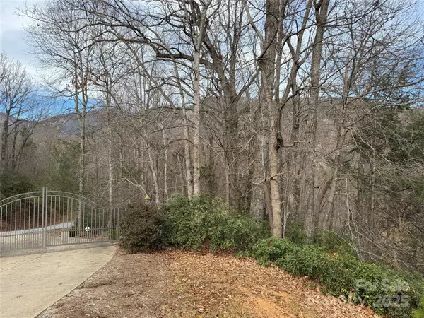 Lake Lure, NC 28746,0 Deer TRL #16