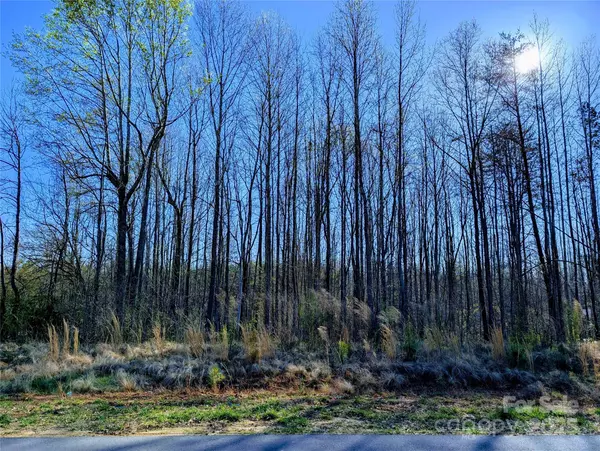 Clover, SC 29710,4255 Brandy Creek CT