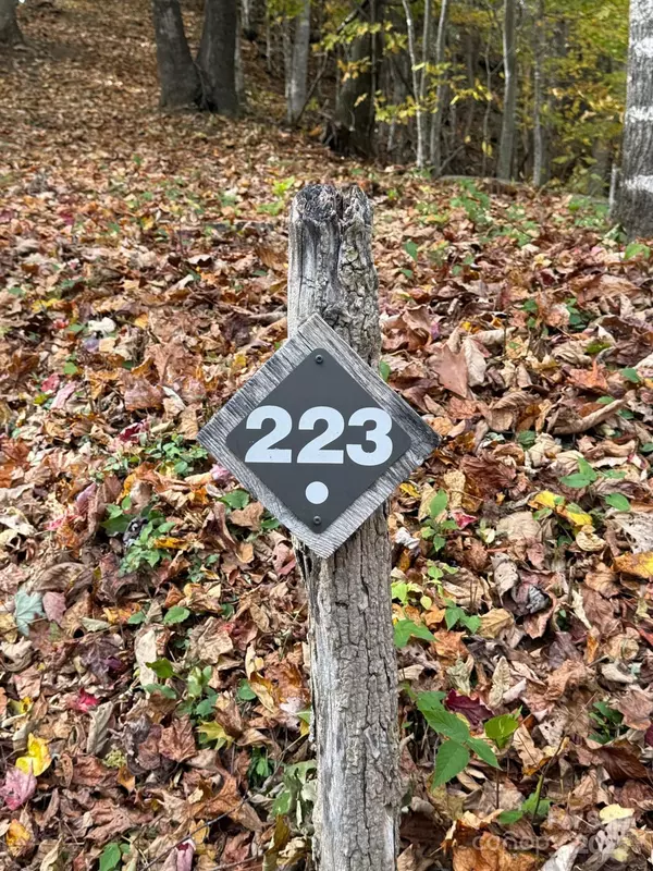 Sylva, NC 28779,223 Flying Dutchman RD