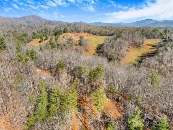 Burnsville, NC 28714,148 Fish Pond LN