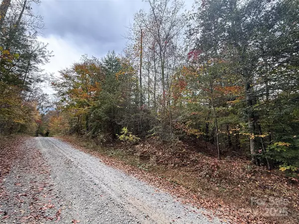 Hendersonville, NC 28739,Lot # 6 West Legacy DR #6