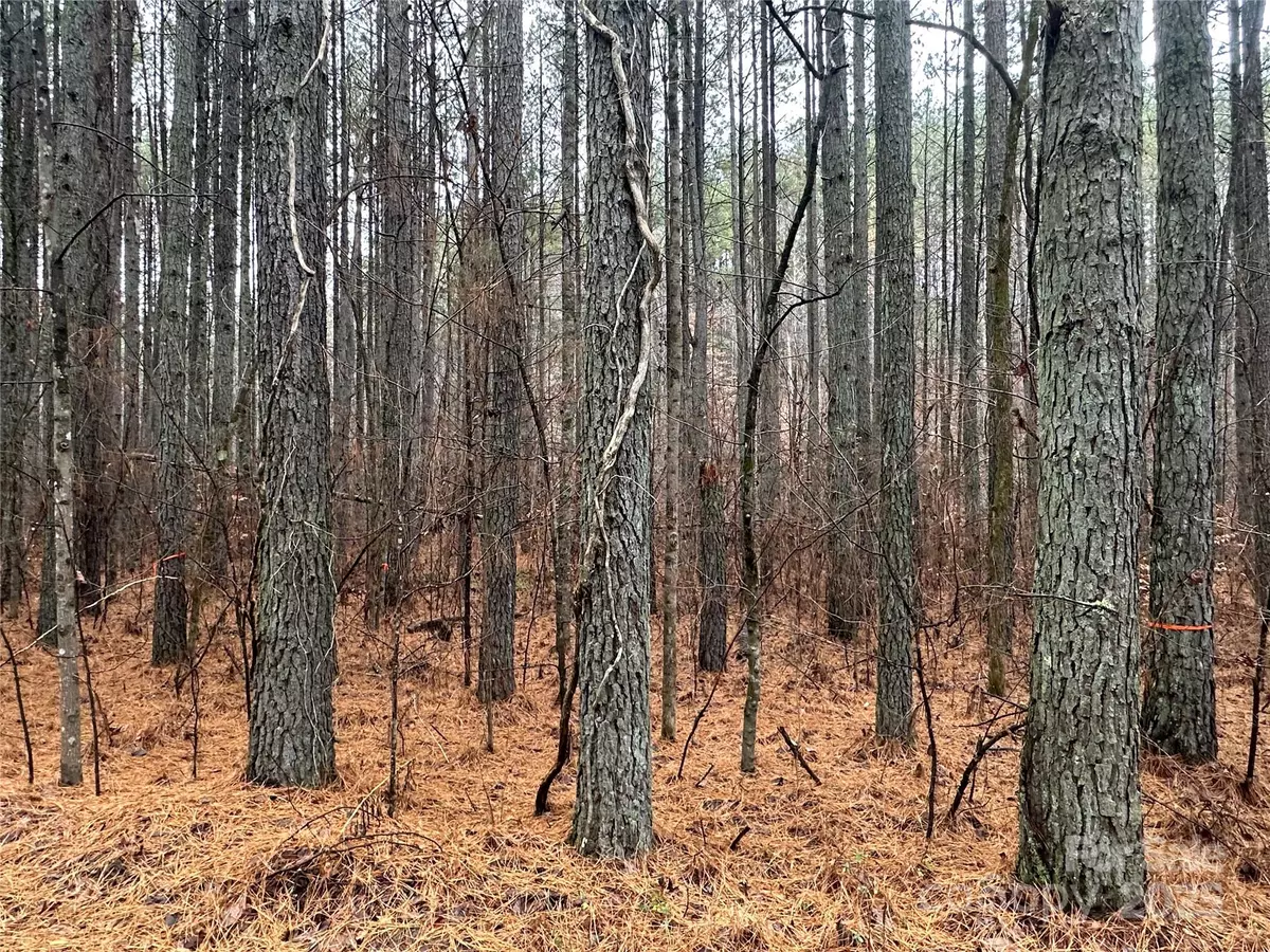 Union Mills, NC 28167,0 Frog Creek RD