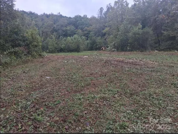 Marion, NC 28752,tbd 3 morgan lake RD #3