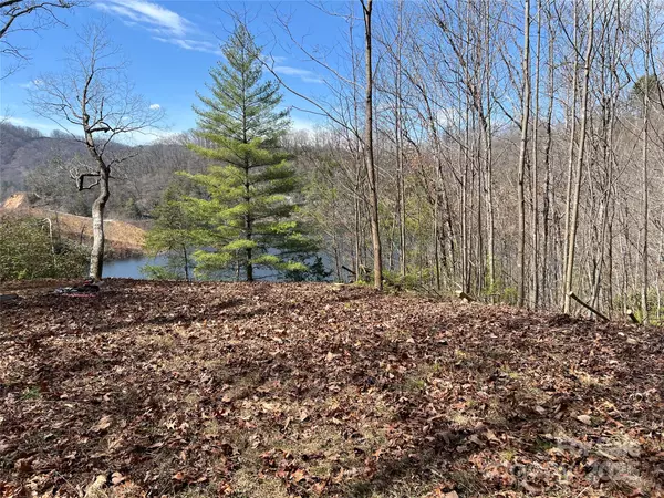 Tuckasegee, NC 28783,134 Dars LN #7