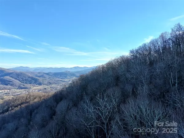 Waynesville, NC 28785,TBD Vireo LN