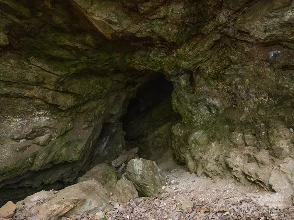 Union Mills, NC 28167,0 Shoal RDG #1