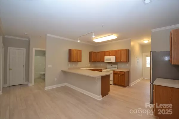 Cornelius, NC 28031,19820 Feriba PL