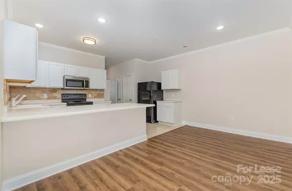 Cornelius, NC 28031,19808 Feriba PL