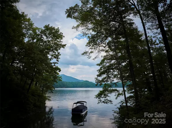 Robbinsville, NC 28771,0 Bailey Fields RD