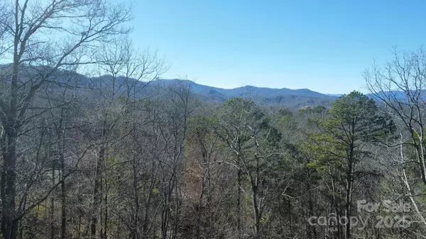 000 Hornet DR, Whittier, NC 28789