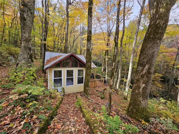 Burnsville, NC 28714,25 Hollow Log RD