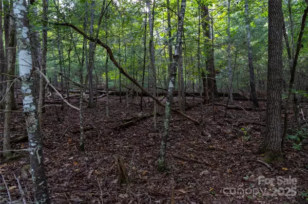 Lake Lure, NC 28746,0 Swans WAY E #249&250