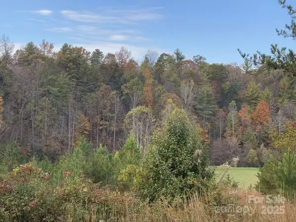 Lenoir, NC 28645,0000 Cypress TRL