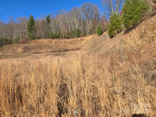 Waynesville, NC 28786,28 Canterbury LN