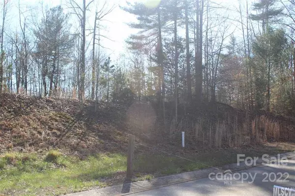 Lenoir, NC 28645,4 Lots Huntington Woods ST SE