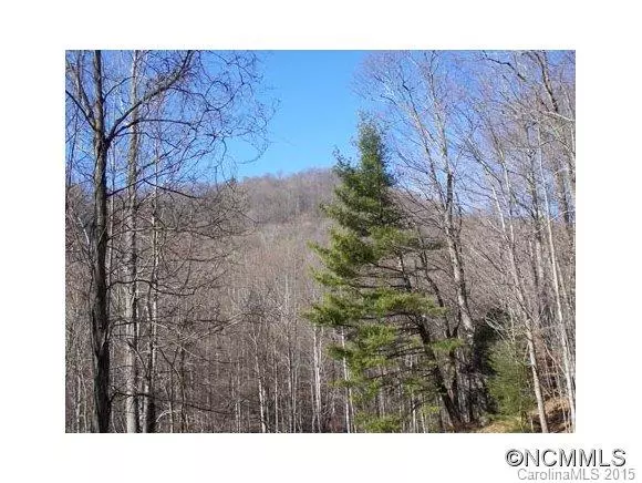 Lot 100 Whispering Woods PATH #100, Mars Hill, NC 28754