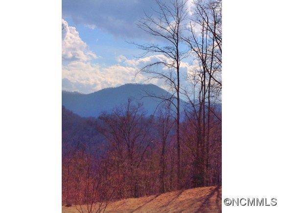 0 Wild Bird DR, Sylva, NC 28779