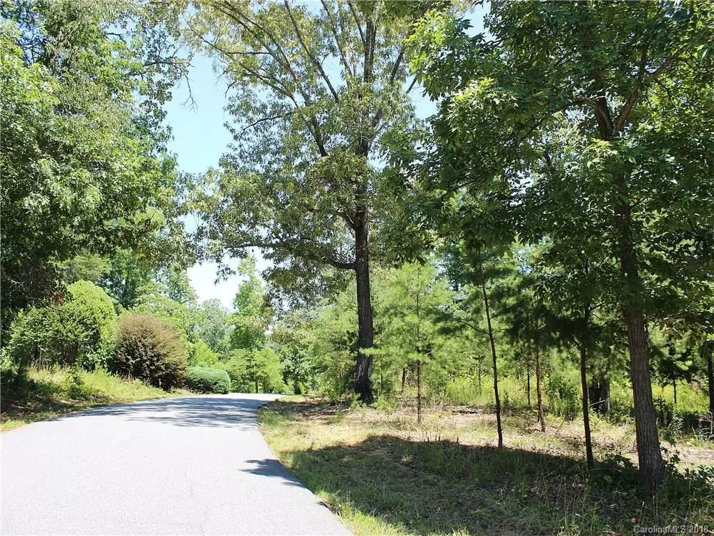 Tryon, NC 28782,LOT 28 RED FOX CIR #28